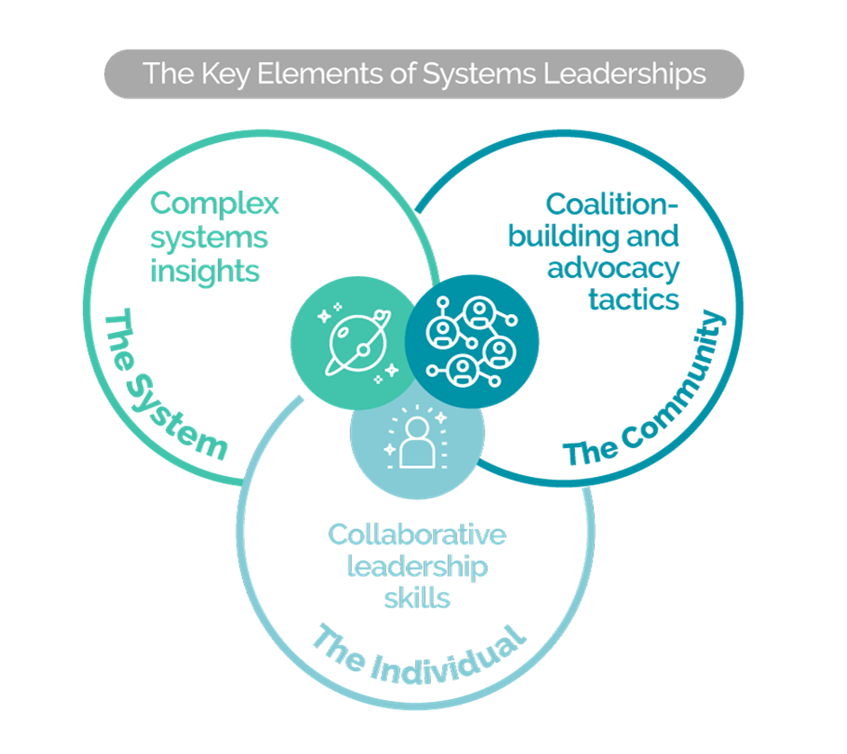 key elements of systems leadership